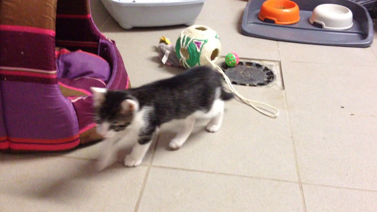 Arrivé Salto 2 mois