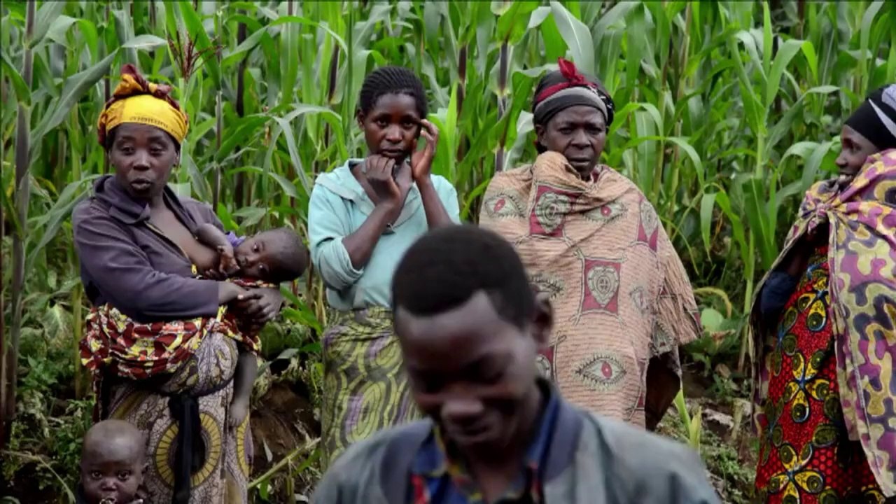 DR Congo, Rwanda, scrap over copse of trees
