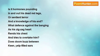 Kevin Eaglesfield - Chase