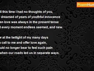 Elaine Polin - The Past banished