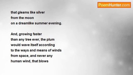 Phillip Ellis - Tablet and Water