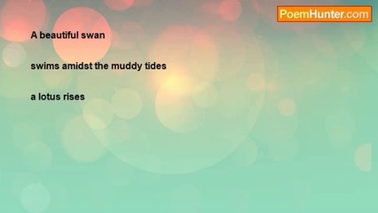 Lorraine Margueritte Gasrel Black - Swan Song Haiku