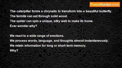 Ben Bergeth - Tell Me Why