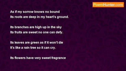 Asif Andalib - My Sorrow