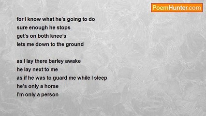 Mrs. Cynosure - The Ranchers Ride That Was Given