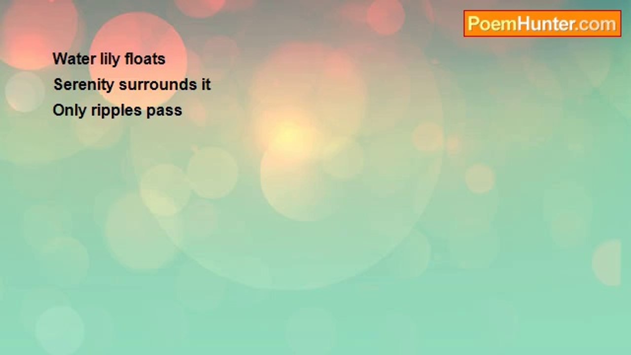 Fiona Davidson - Water Lily