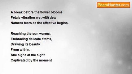 DR.GENNY ANDERSON - CAPTIVATED BY THE MOMENT