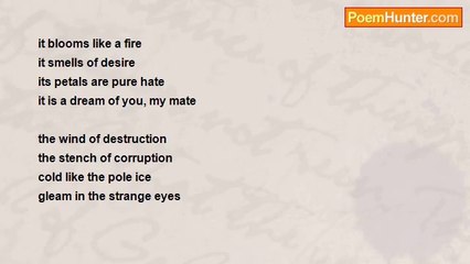 Max Kuvaev - Ambiguous