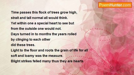 Is It Poetry - Hidden Within The Tree