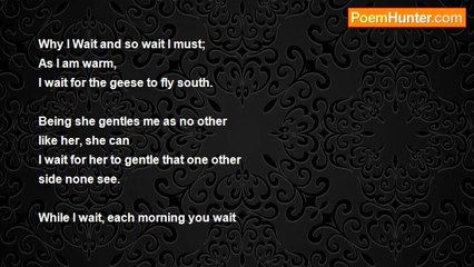 Is It Poetry - Why I Wait