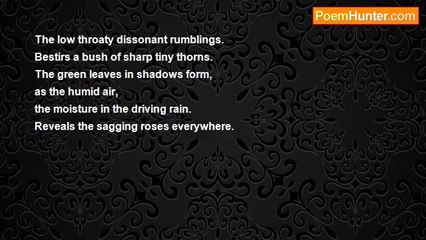 Is It Poetry - In The Storm Of Roses