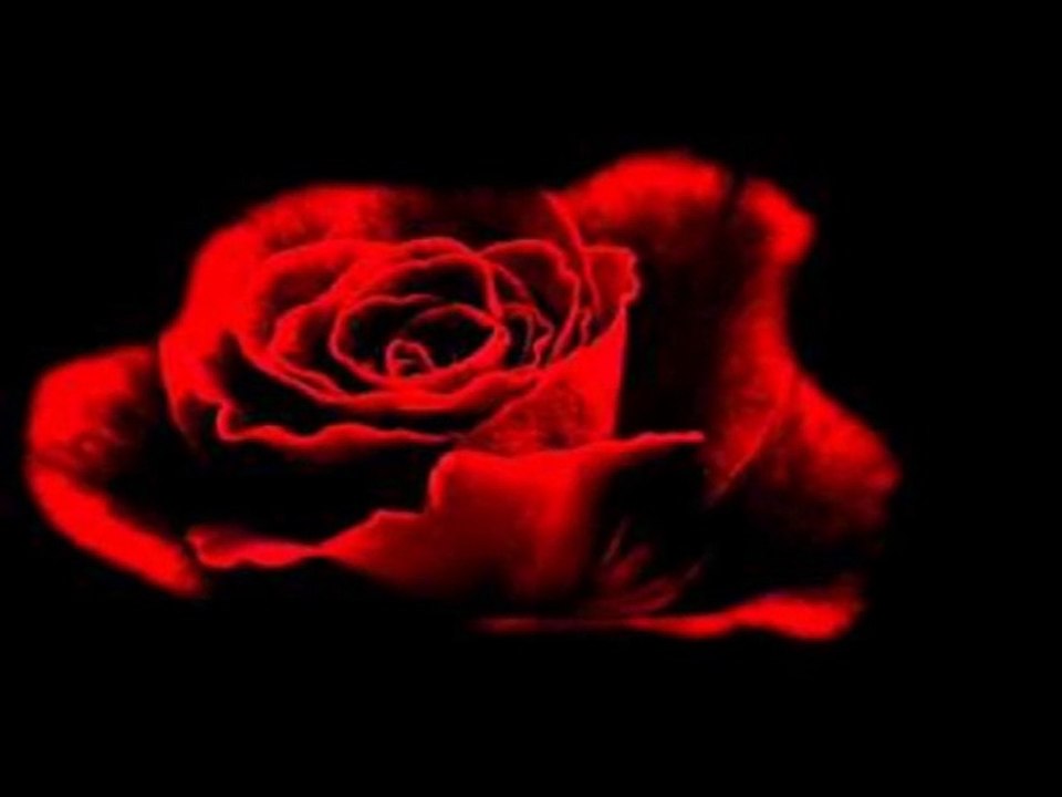 Fleurs Du Mal - Sarah Brightman