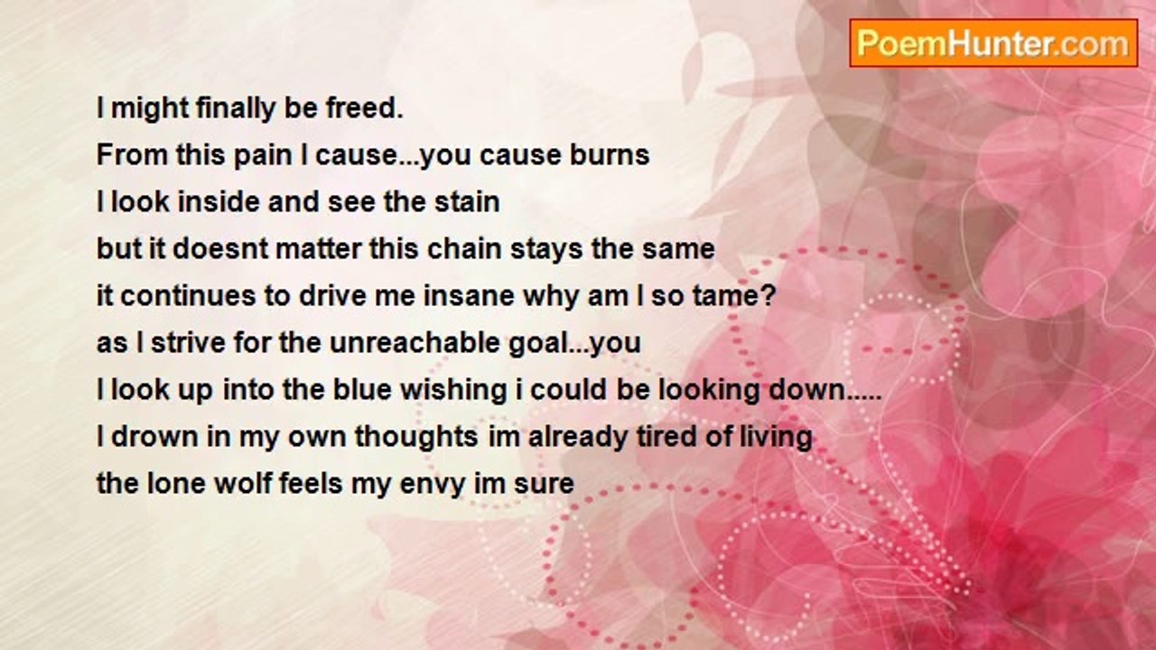 Adam Dumais - My Night Wish (Lone Wolf)