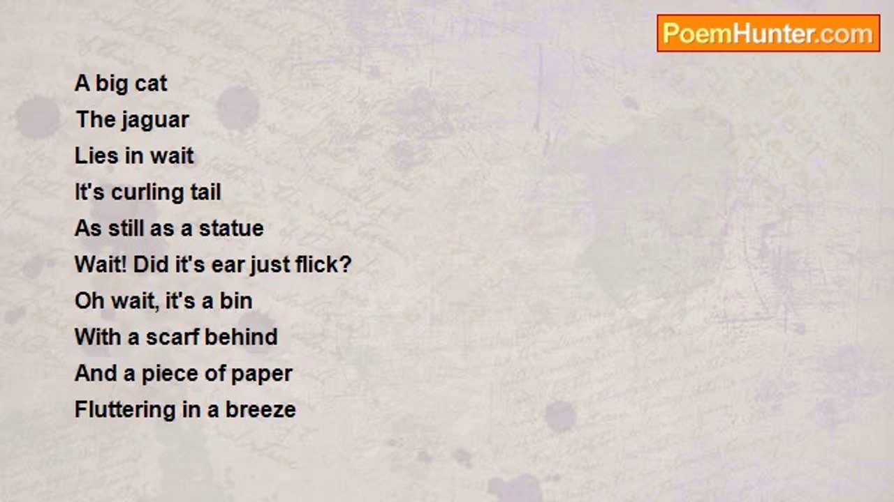 Charlotte Pinkney - First Sight, Second Thought