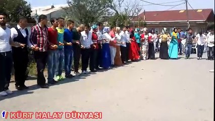 BİTLİSLİLERİN DÜĞÜNÜ ASİM 'İN DÜĞÜNÜ