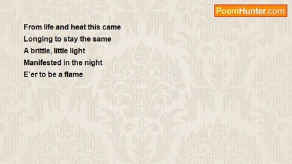 Elbert Matt Loubser - Flame, The