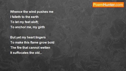 Elbert Matt Loubser - Death of a Habbit