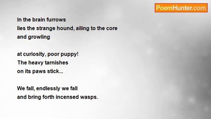 Jovica Tasevski Eternijan - THE ABYSS EMBRACES US