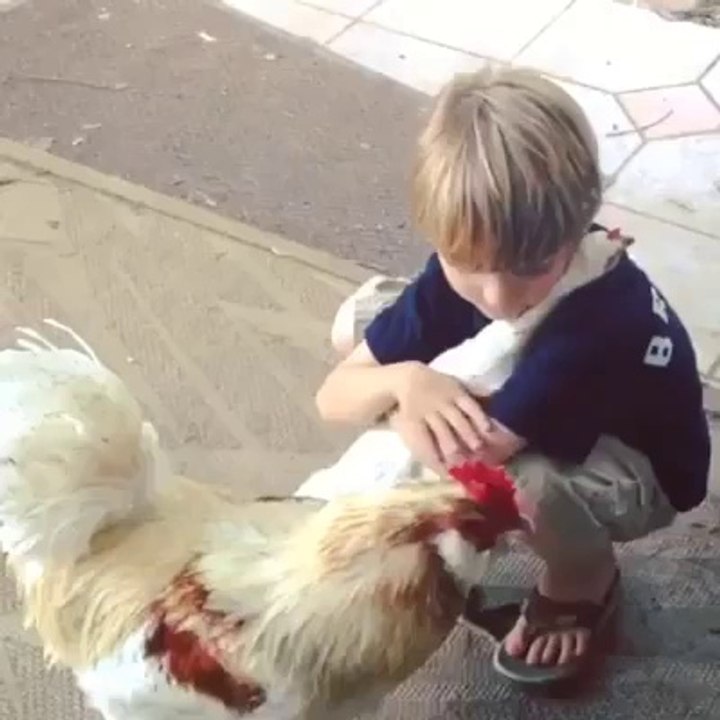 Most Beautiful Video