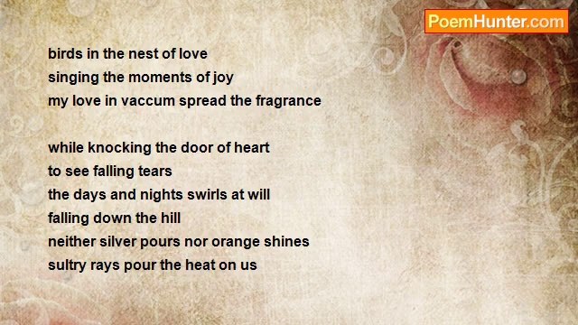 lily peace lago every by to ph - In Vaccum