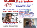 Silver Fox Direct Pay System DPS Free Lead Capture Page I Do The Selling For You