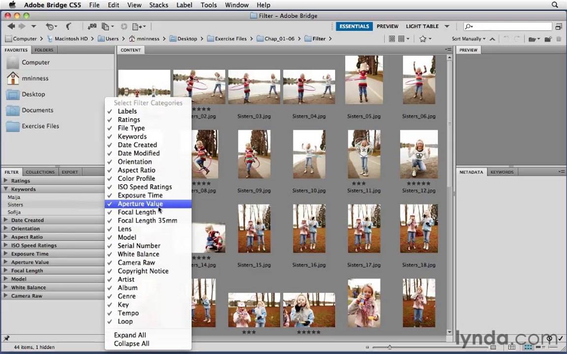 Photoshop CS5 Essential Training-15-Using the Filter panel to view different subsets