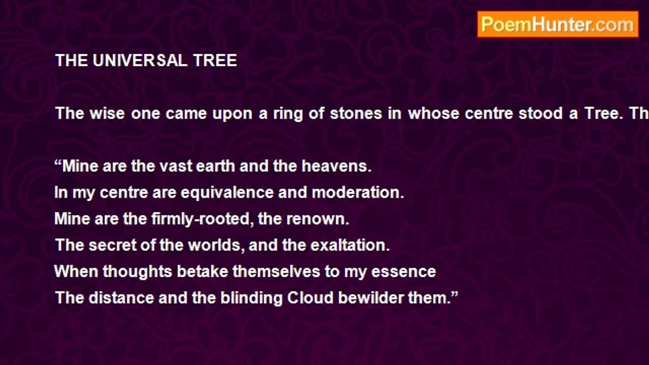 HOWLIN' DERVISH - THE UNIVERSAL TREE