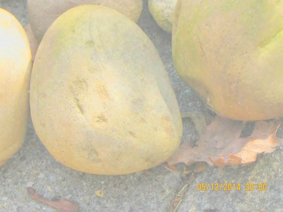 Dinosaur egg hatching