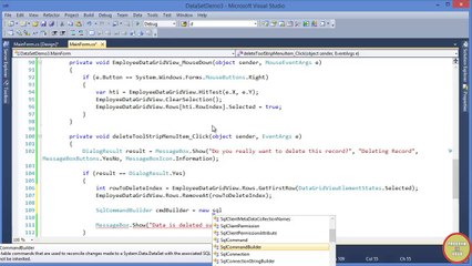 P7-DataSets and DataTable In Urdu - SqlCommandBuilder (Delete)
