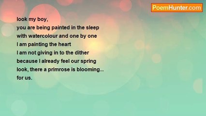 Maria Barbara Korynt - primrose