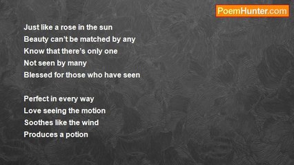 Sakib Choudhury - Rose in the sun