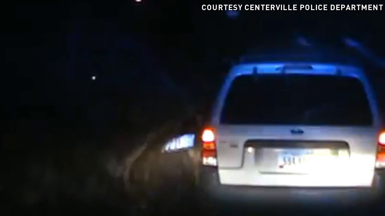 Tree nearly crushes cop during traffic stop