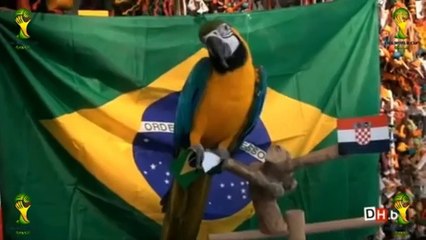 شاهد .. الببغاء " ديابوليتو" بديلًا للأخطبوط " بول " في كأس العالم