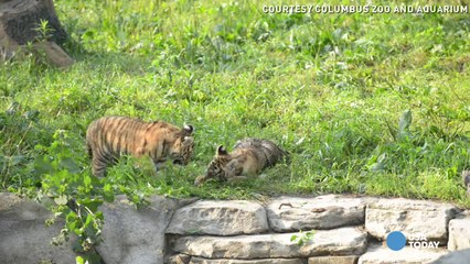 Jack Hanna wants you to visit more zoos!