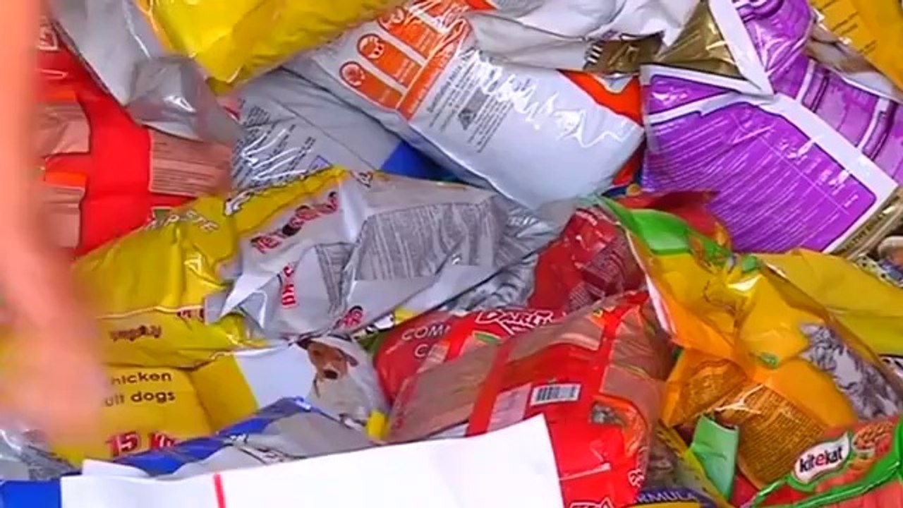 Dog shelter works to reunite animals with owners after floods