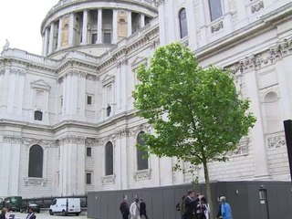 St Paul's cathedral unveils Bill Viola video installation