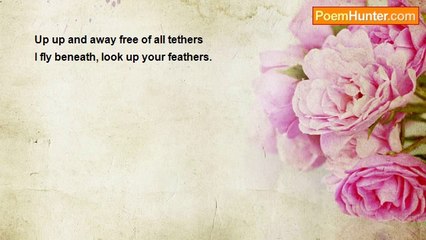 Herbert Nehrlich 2 - Viewdew