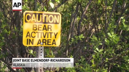 Survivor of Alaska bear attack speaks out