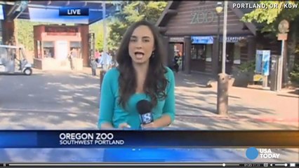 Six monkeys die while in zoo's quarantine center