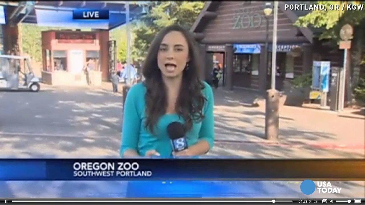 Six monkeys die while in zoo's quarantine center