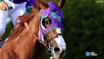 California Chrome makes nasal strips go viral | USA NOW