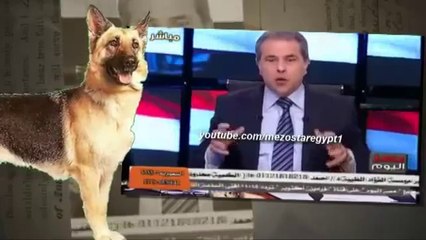 اشد حالة جنان لـ توفيق عكاشة بـيطلع اصوات كلاب علي الهواء هوهو