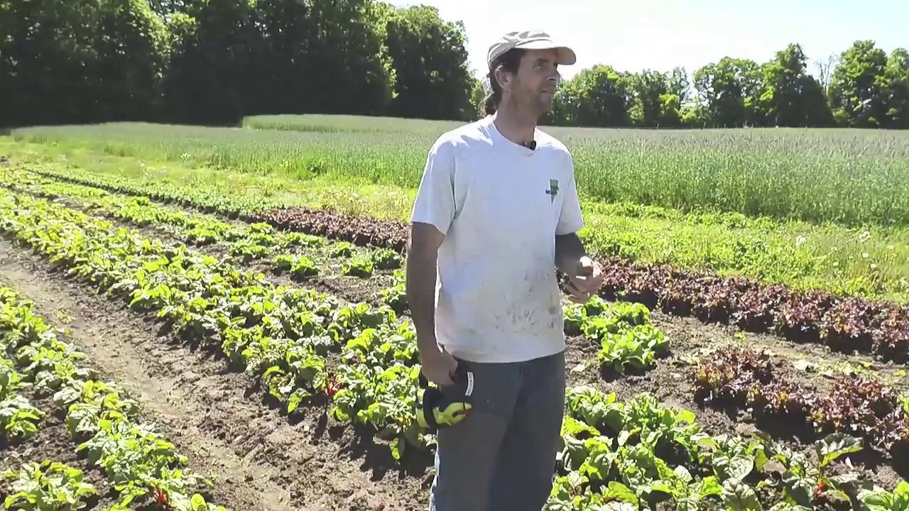 GMO debate in Vermont