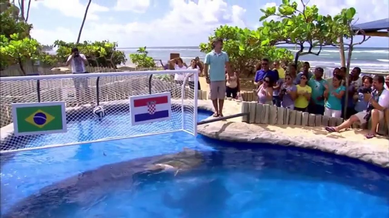 Raw: Turtle picks Brazil in World Cup opener