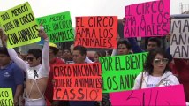 Clowns march against Mexico circus animal ban