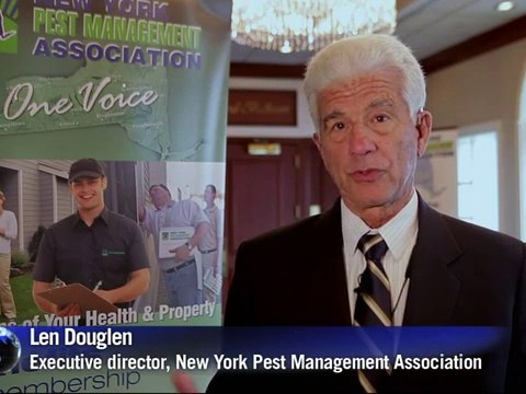 New York bedbugs bite back