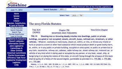 Woman arrested for shooting a missile