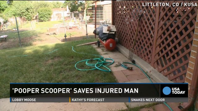 Pro 'pooper scooper' saves man after fall