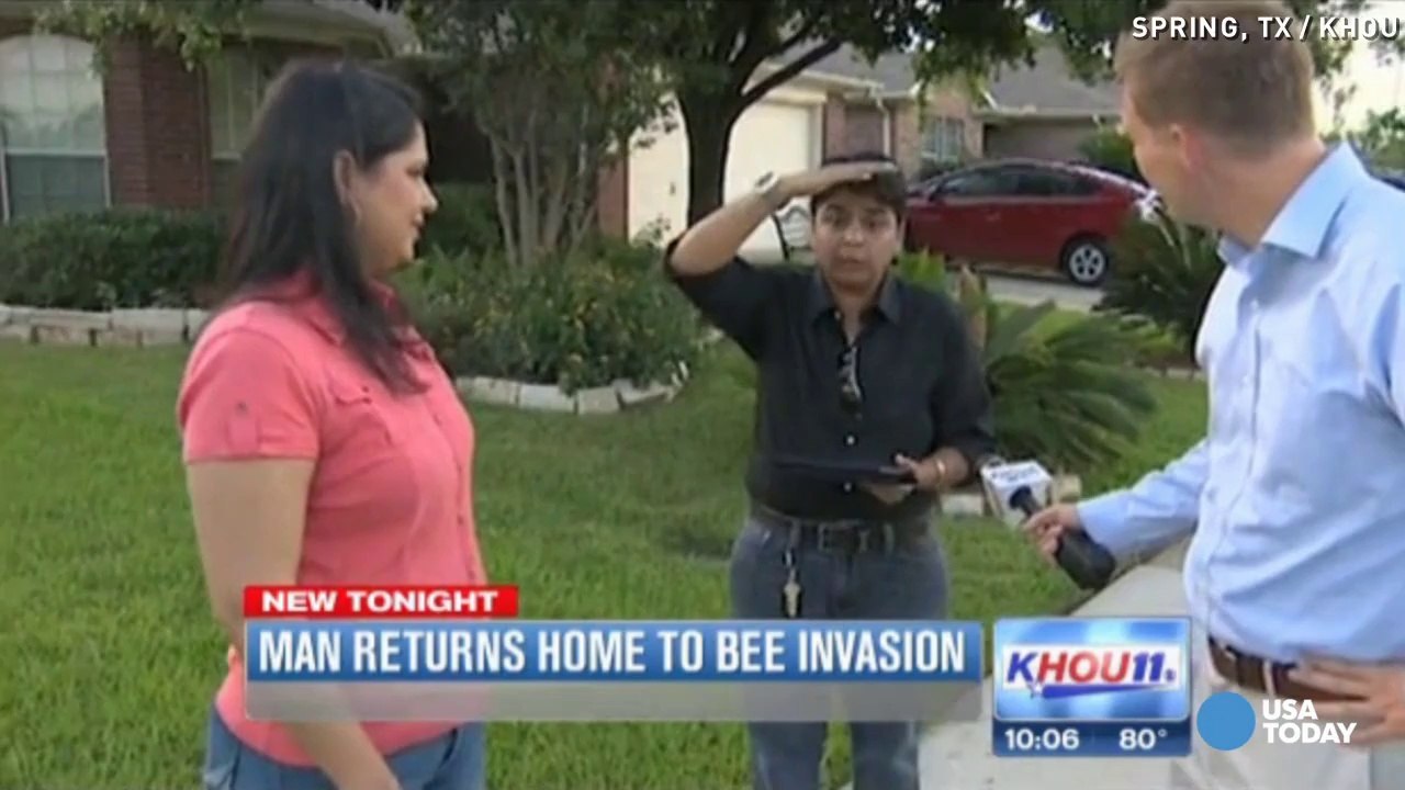 Bees invade home while owner is away