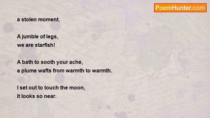 Hanque O . . . - Thoughts from the Saddle